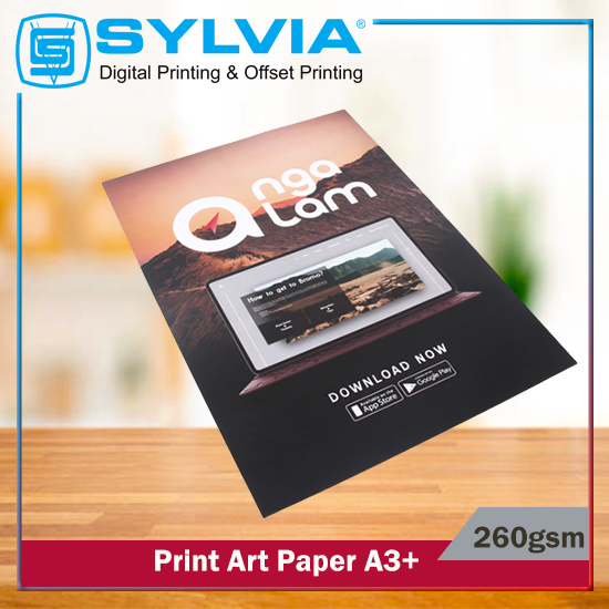 Print Art Paper 260 gsm A3+